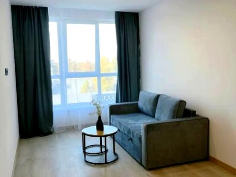 квартира по адресу Карла Мікльоша ул., 20-А