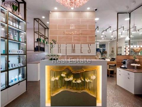 комерційна за адресою Панаса Мирного вул., 4