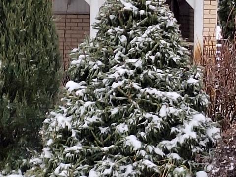 будинок за адресою Мазепи