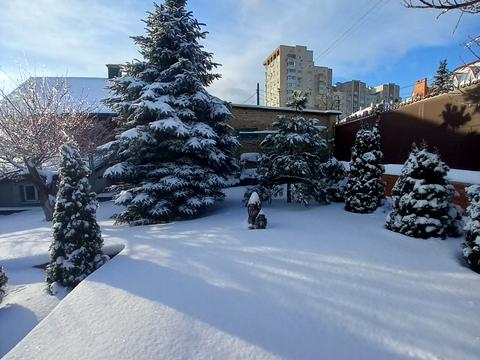 дом по адресу Петропавловская ул.