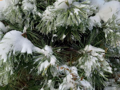 дом по адресу Петропавловская ул.