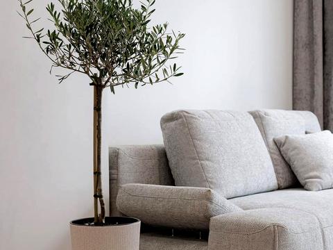 квартира за адресою Героїв Майдану вул., 15