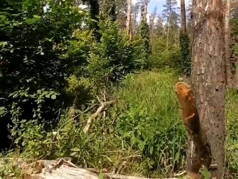 будинок за адресою Північна вул., 22