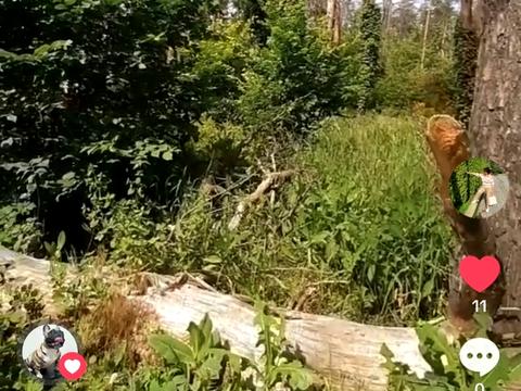 будинок за адресою Північна вул., 22