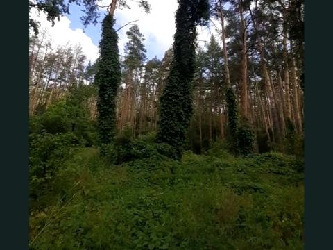 будинок за адресою Північна вул., 22