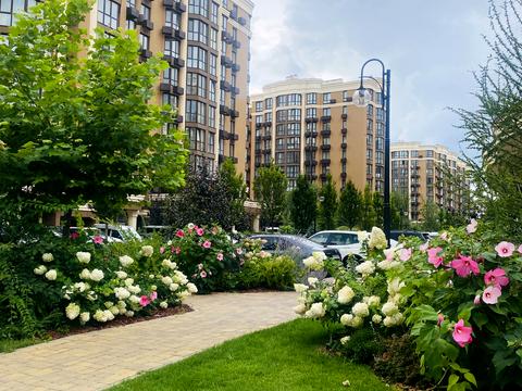 квартира по адресу Мартинова просп., 24