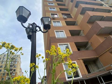 квартира за адресою Зоопаркова вул., 8в