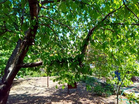 будинок за адресою Марата вул.