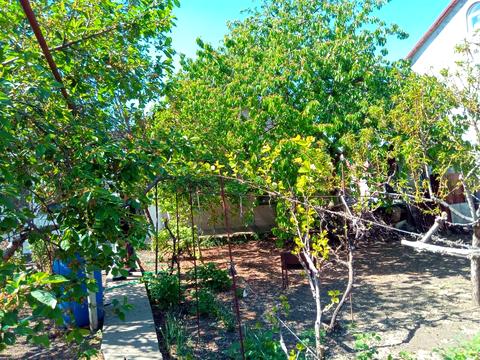 будинок за адресою Марата вул.