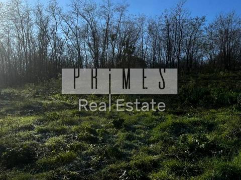 участок по адресу Днепровское шоссе