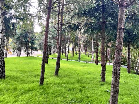 квартира за адресою Озерна вул., (Будинок 3)