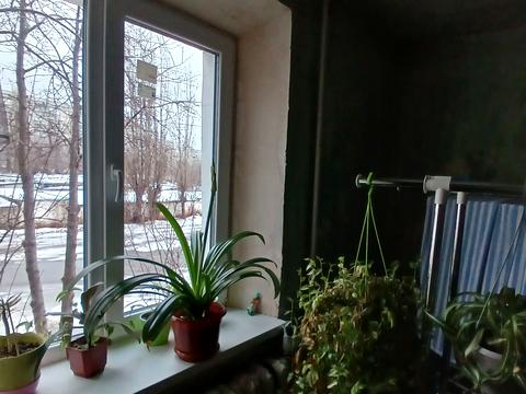 квартира за адресою 2-й Лісопарківський пров., 10