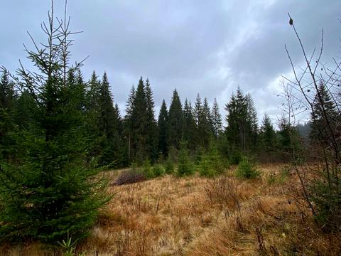 ділянка за адресою 