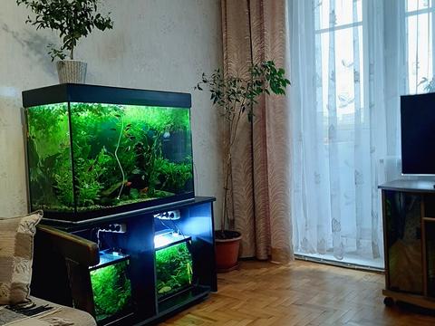 квартира за адресою Покровський житловий масив вул., 5-К