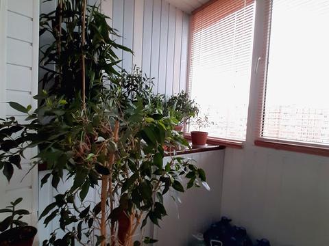 квартира за адресою Покровський житловий масив вул., 5-К