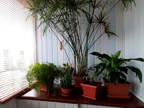 квартира за адресою Покровський житловий масив вул., 5-К