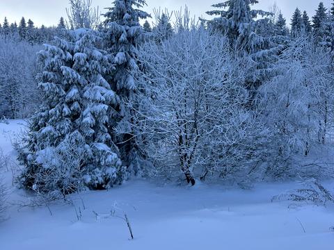 участок по адресу Верховская ул.