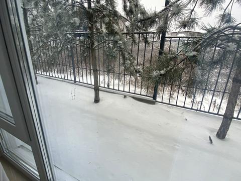 квартира по адресу Пшенична ул., 51