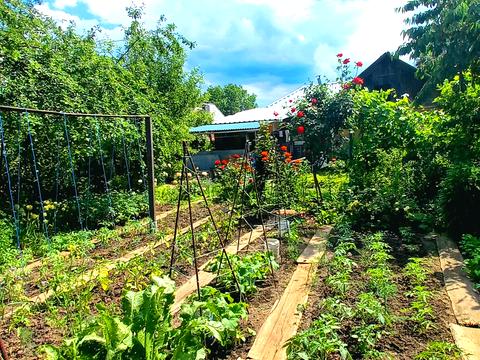 будинок за адресою Харків, Луї Пастера вул., 1