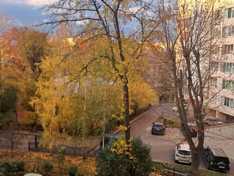 квартира за адресою Винниченка вул. (Карпенка), 5