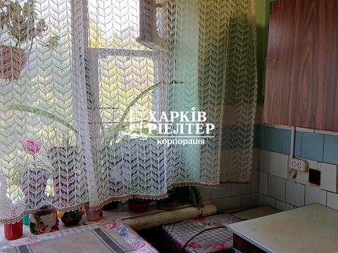 квартира по адресу Александровский просп. (Косиора), 146