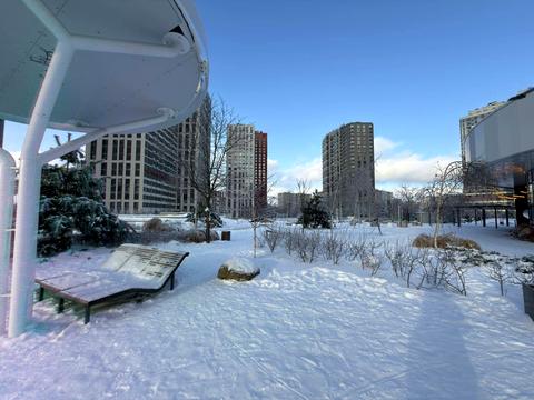 квартира за адресою Олександра Олеся вул., 10