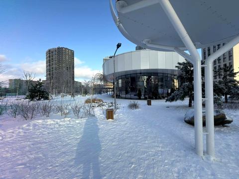 квартира за адресою Олександра Олеся вул., 10