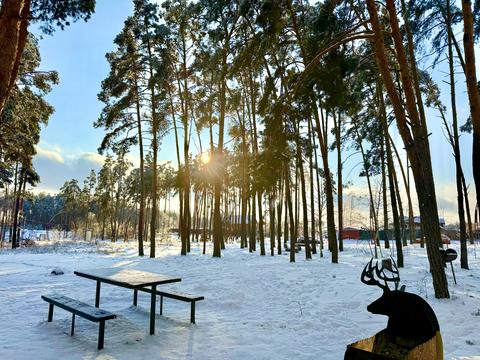 квартира за адресою Університетська вул., 1-Ш