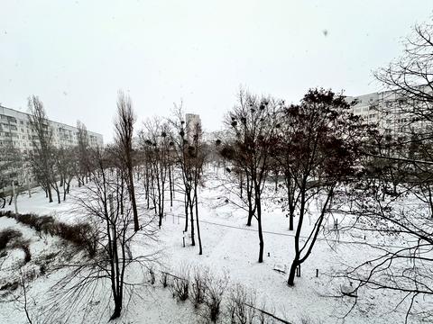 квартира по адресу Победы просп., 48