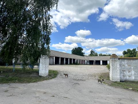 комерційна за адресою Миру, 4