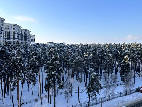 квартира за адресою Університетська вул., 2/1 к3