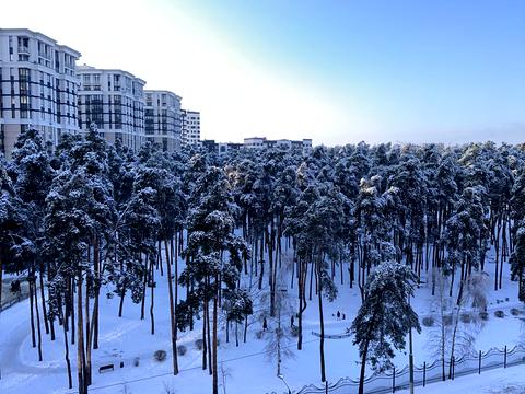 квартира за адресою Університетська вул., 2/1 к3