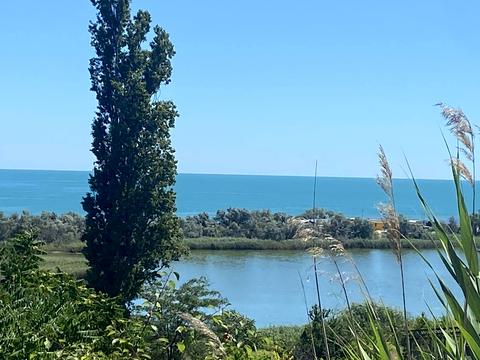 комерційна за адресою студенська, 27