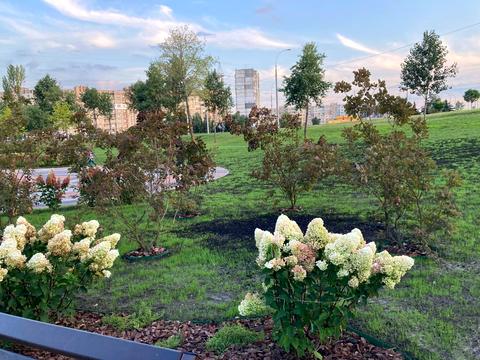 квартира за адресою Романа Шухевича просп. (Генерала Ватутіна), 4-Б