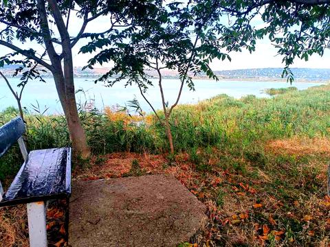 будинок за адресою с. Болгарка, Варненьска, 2