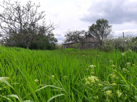 дом по адресу Воздвиженська