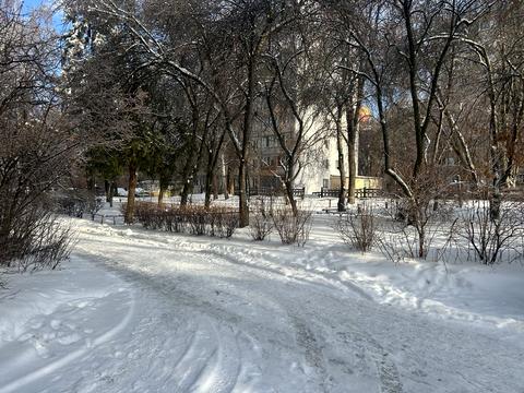 квартира за адресою Зелена вул., 10