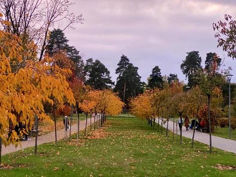 квартира за адресою Мілютенка вул., 30/12