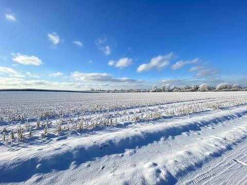 ділянка за адресою 