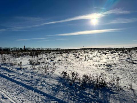 ділянка за адресою с. Микуличі, 