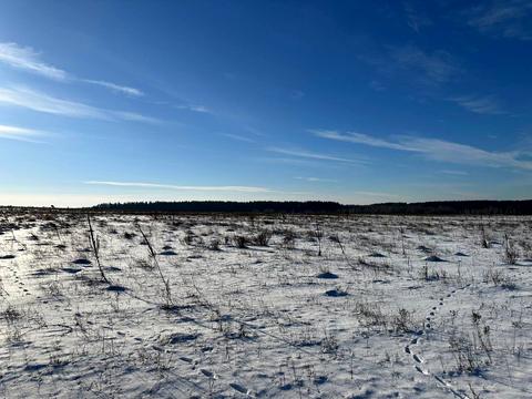 ділянка за адресою с. Микуличі, 