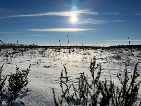 ділянка за адресою с. Микуличі, 