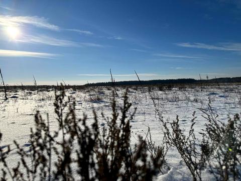 ділянка за адресою с. Микуличі, 