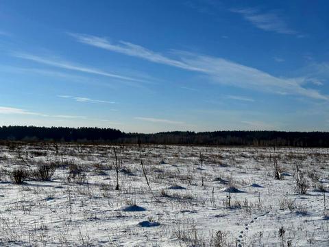 ділянка за адресою с. Микуличі, 