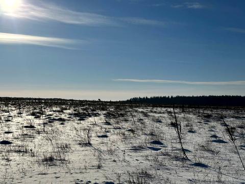 ділянка за адресою с. Микуличі, 