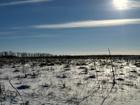 ділянка за адресою с. Микуличі, 