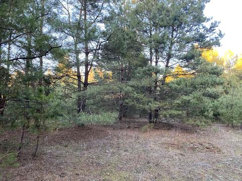 ділянка за адресою с. Тубільці, 