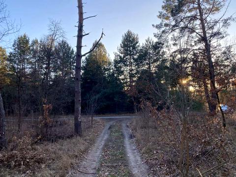 ділянка за адресою с. Тубільці, 