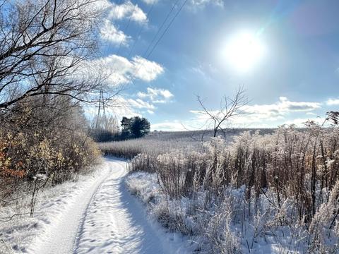 ділянка за адресою 