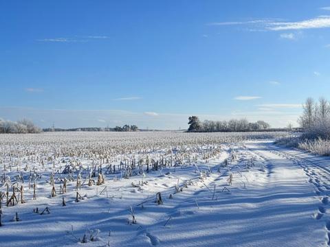 ділянка за адресою 